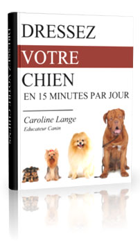 Avis Du Livre Dressez Son Chien En 15 Minutes Par Jour De Caroline Lange (Ebook PDF)