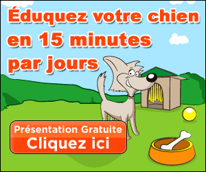 Guide Dressez Votre Chien En 15 Minutes Par Jour De Caroline Lange Télécharger Le Livre (Manuel Ebook PDF Amazon Download)